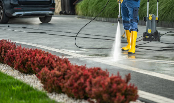 Best Graffiti Removal  in Ellitt, CO